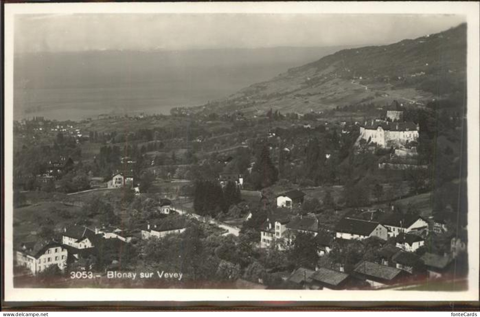 11306548 Blonay Panorama Chateau Lac Leman Blonay - Andere & Zonder Classificatie