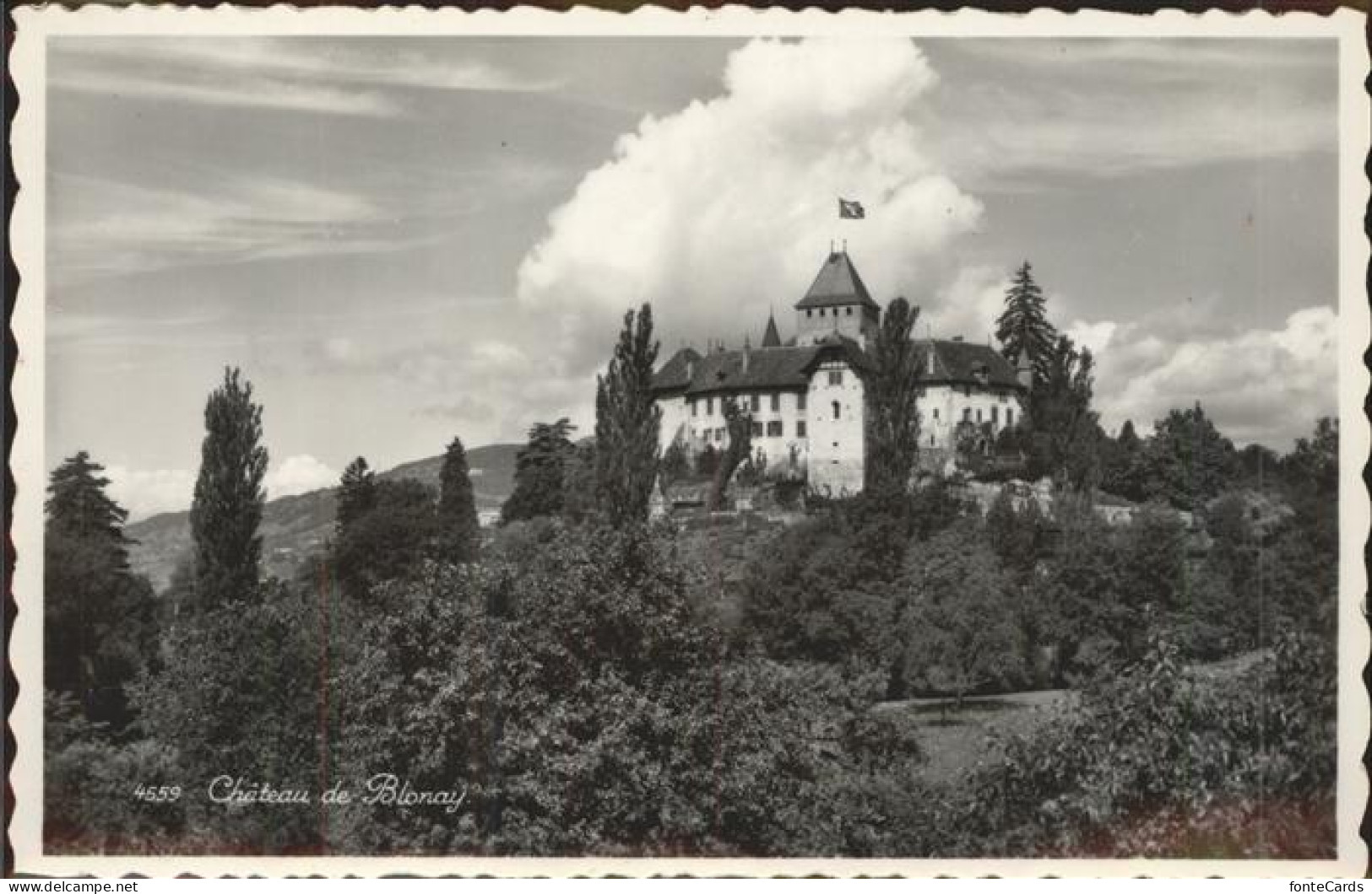 11306547 Blonay Chateau Blonay - Sonstige & Ohne Zuordnung