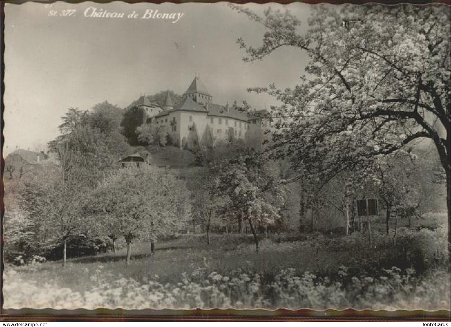 11306546 Blonay Chateau Blonay - Otros & Sin Clasificación