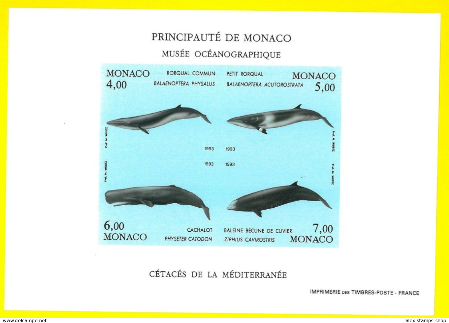 MONACO 1993 Sheet Whales/Dolphin/Marine Mammals/Nature INPERFORATE - Yv 59a RARE - Unused Stamps