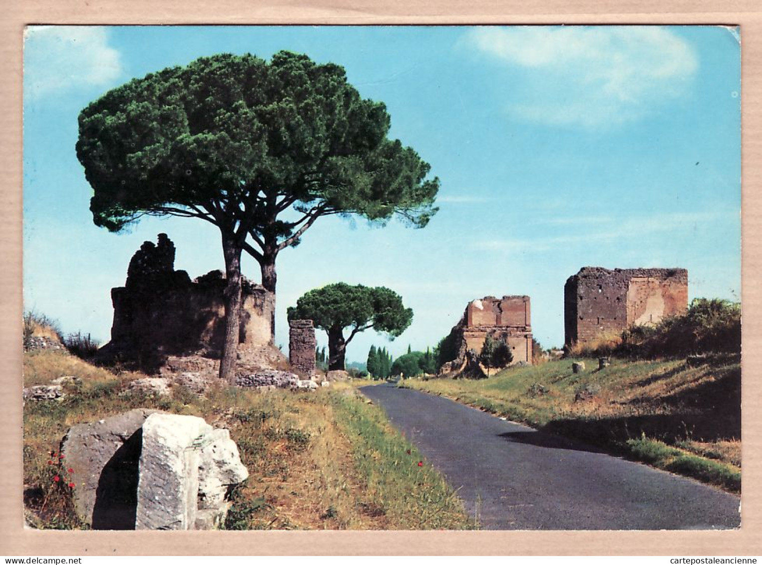 31541 / ROMA Rome Appia Antica Voie Appienne  20.11.1975 ¤ OTO N° 28427 - Autres & Non Classés