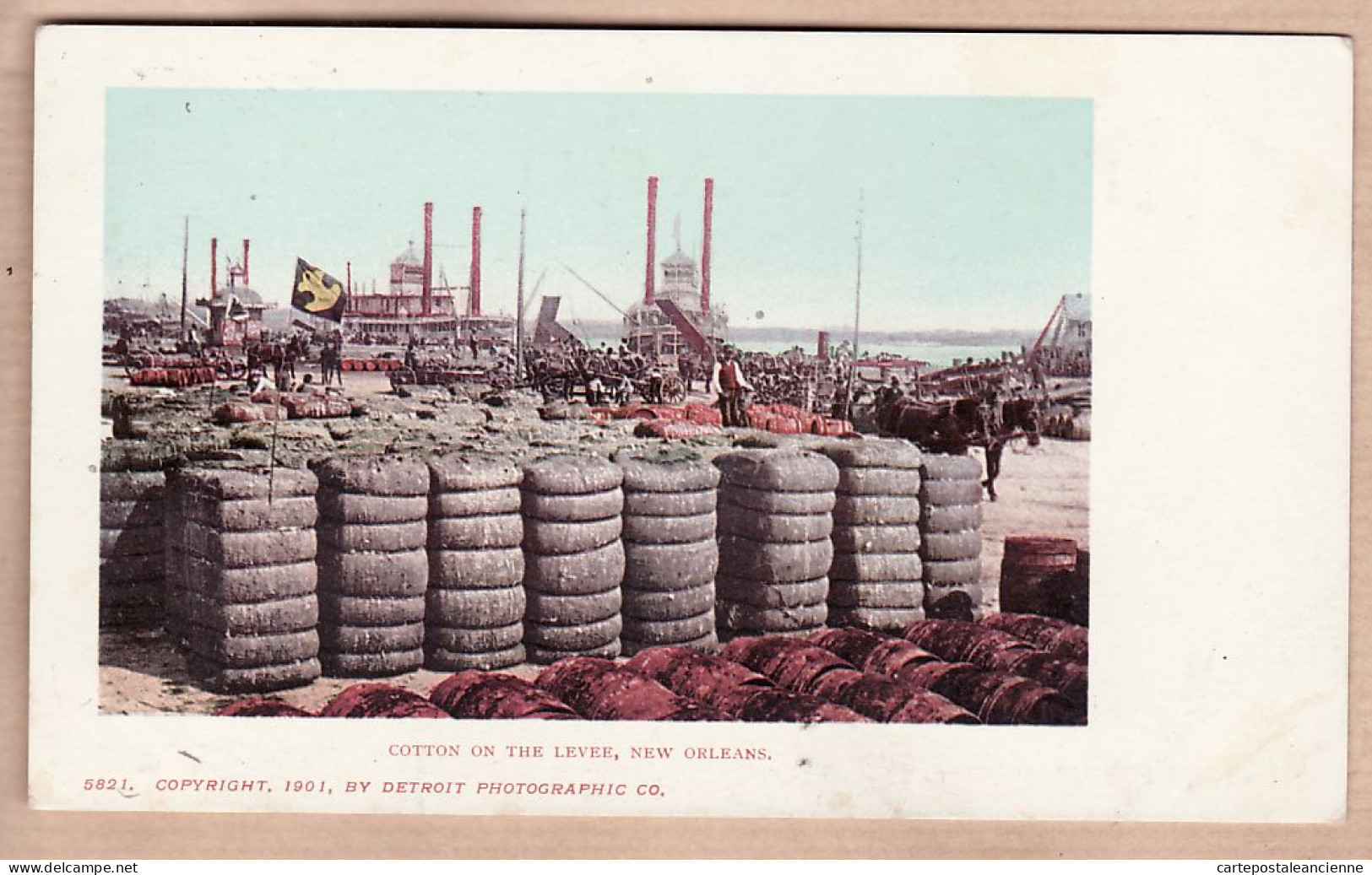 31948 / NEW-ORLEANS Louisiana-LA COTTON On The LEVEE Copyright 1901 By DETROIT PHOTOGRAPHIC Co N°5821 - New Orleans