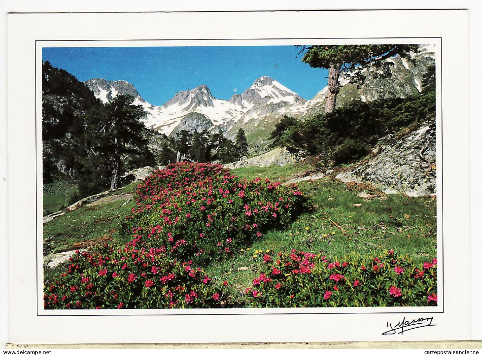 31930 / Le MARCADAU 65-Hautes Pyrénées CPM 2000s  Editions Photo Editions Jean MASSON 9038 - Andere & Zonder Classificatie