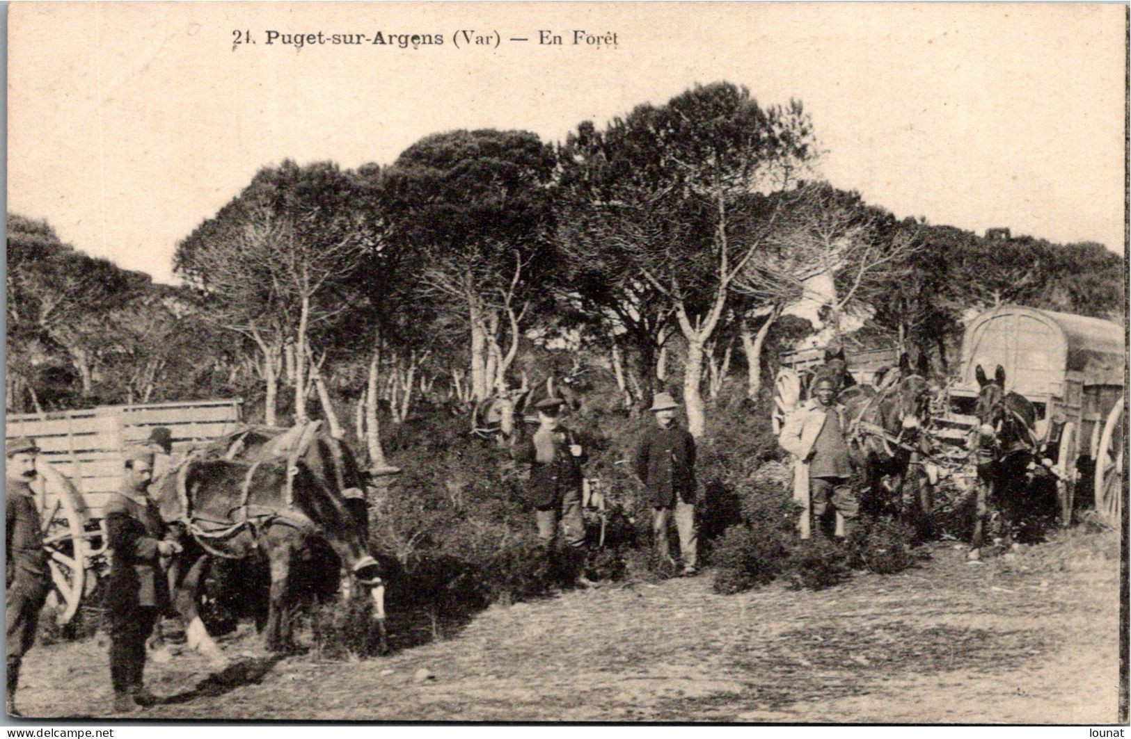 83 PUGET Sur ARGENS - En Forêt - Other & Unclassified