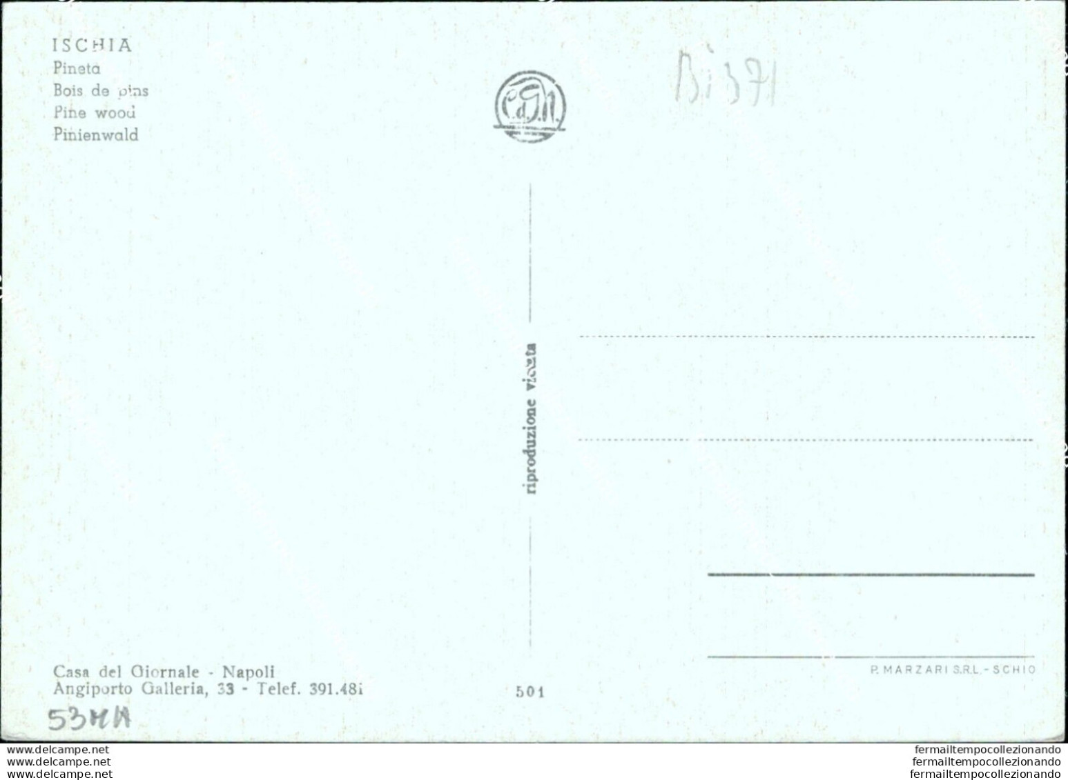 Bi371 Cartolina Ischia Pinato Provincia Di Napoli - Napoli (Napels)