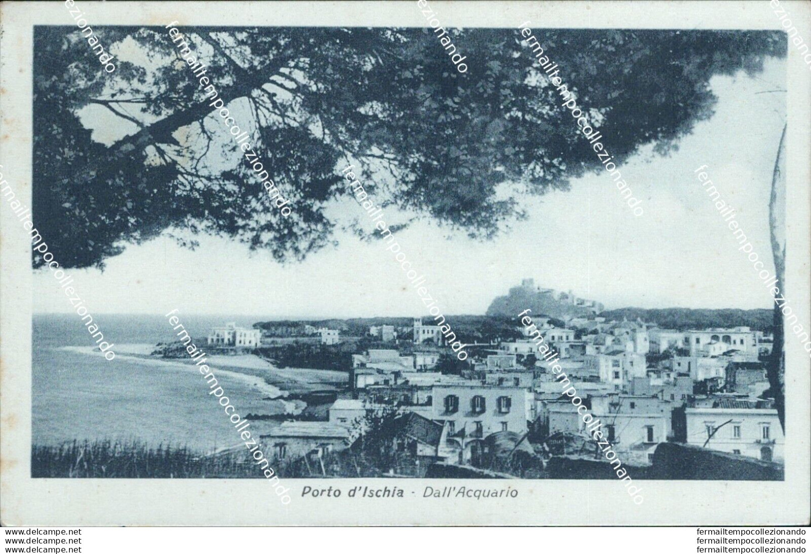 Bh192 Cartolina Porto D'ischia Dall'acquario Provincia Di Napoli - Napoli