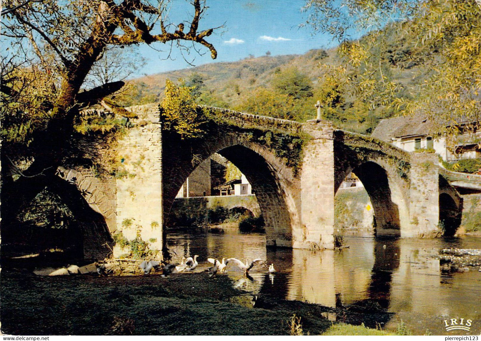 12 - Belcastel - Le Pont Gothique - Andere & Zonder Classificatie