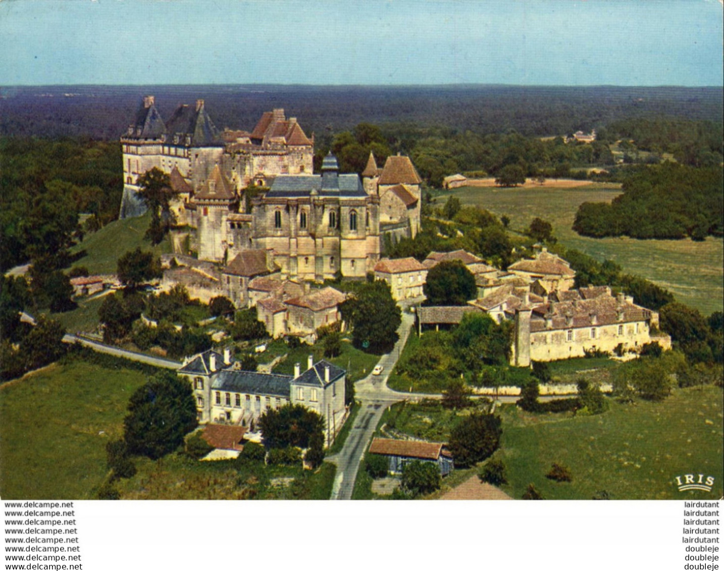 D24  BIRON  Le Château - Other & Unclassified