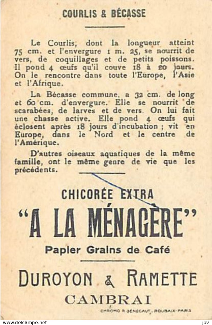 A LA MENAGERE. CAMBRAI. CHROMO CHICOREE. COURLIS & BECASSE. - Thé & Café