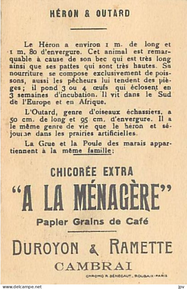 A LA MENAGERE. CAMBRAI. CHROMO CHICOREE. HERON ET OUTARD. - Thé & Café