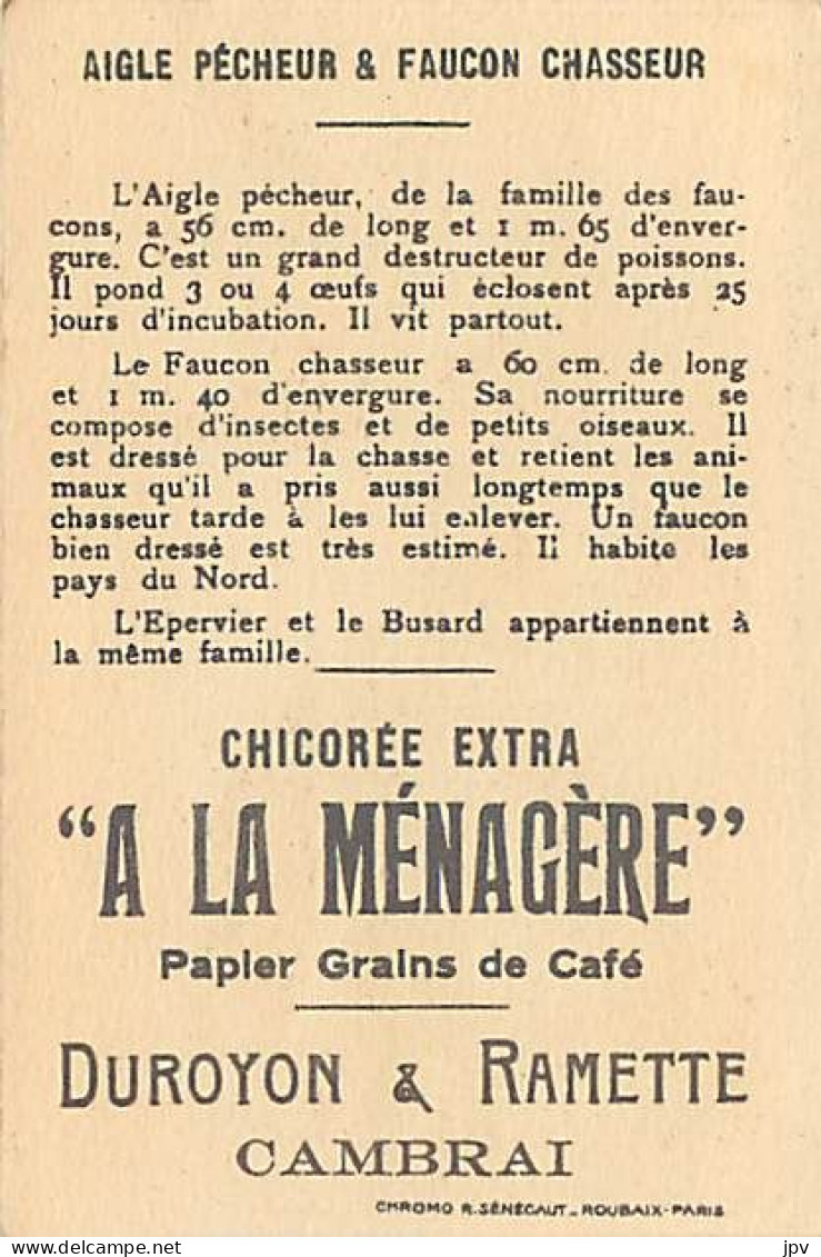 A LA MENAGERE. CAMBRAI. CHROMO CHICOREE. AIGLE PÊCHEUR & FAUCON CHASSEUR. - Tea & Coffee Manufacturers