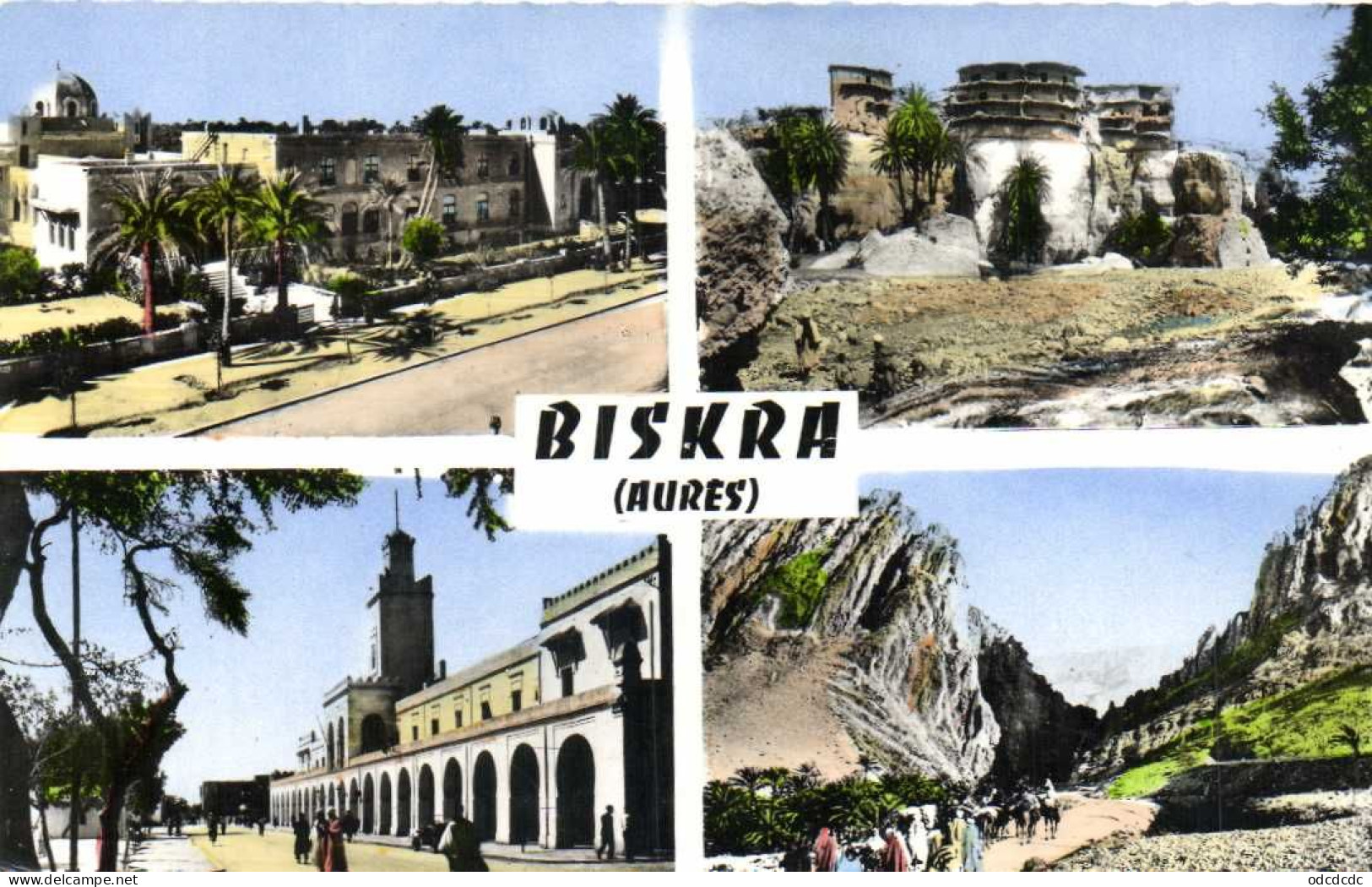 BISKRA  (Aurès) 4 Vues Colorisée   RV - Biskra