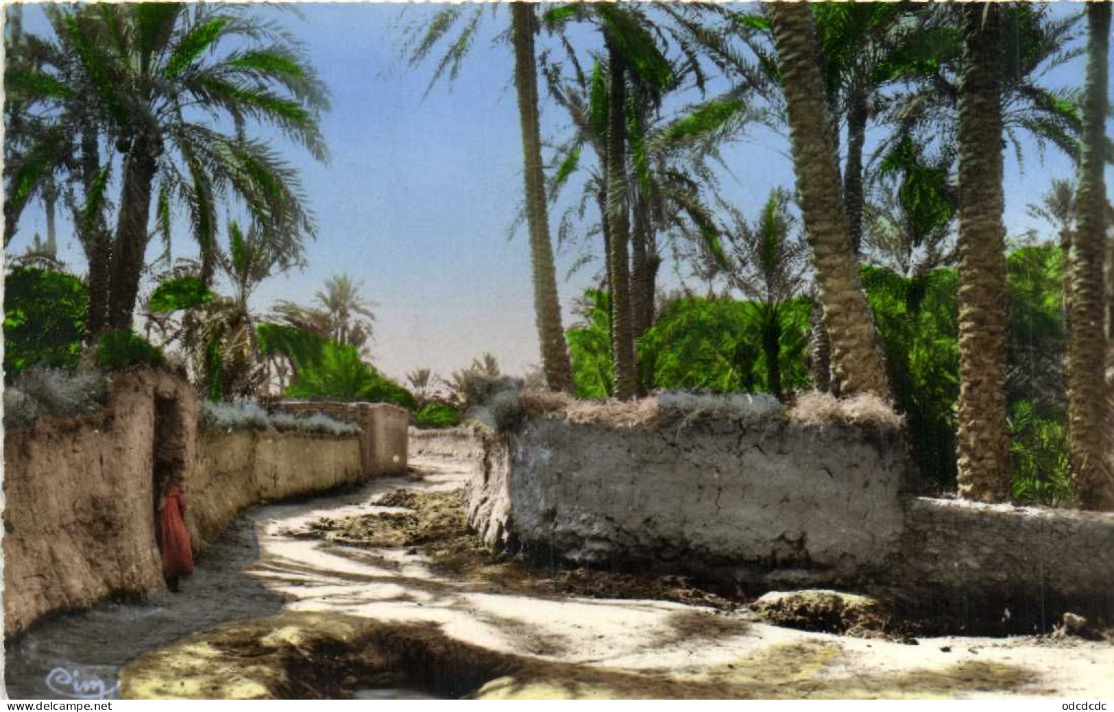 BISKRA  (Aurès) Une Rue De Bab Larb Animée Colorisée    RV - Biskra