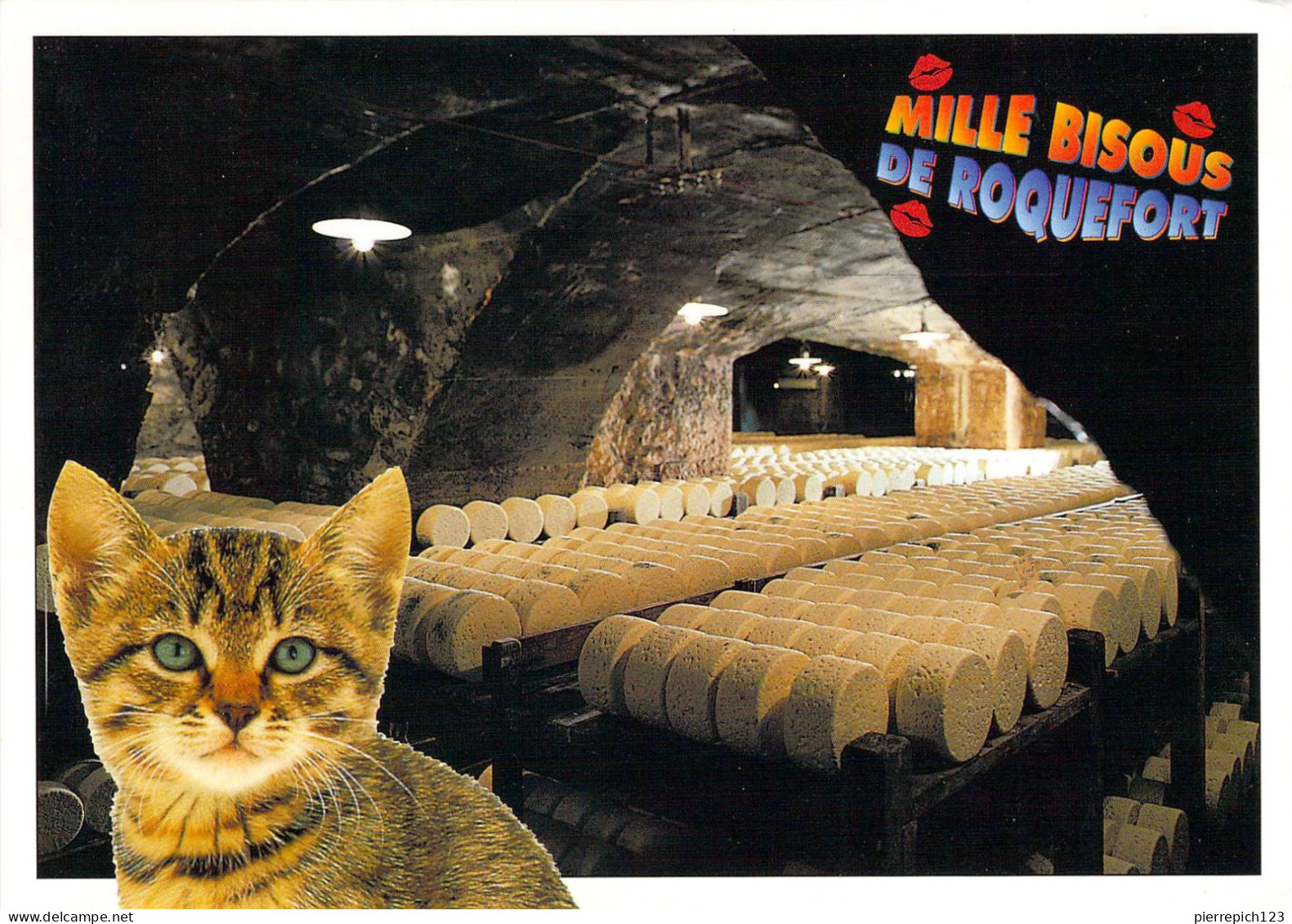 12 - Roquefort - Vue Dans Une Cave - Roquefort