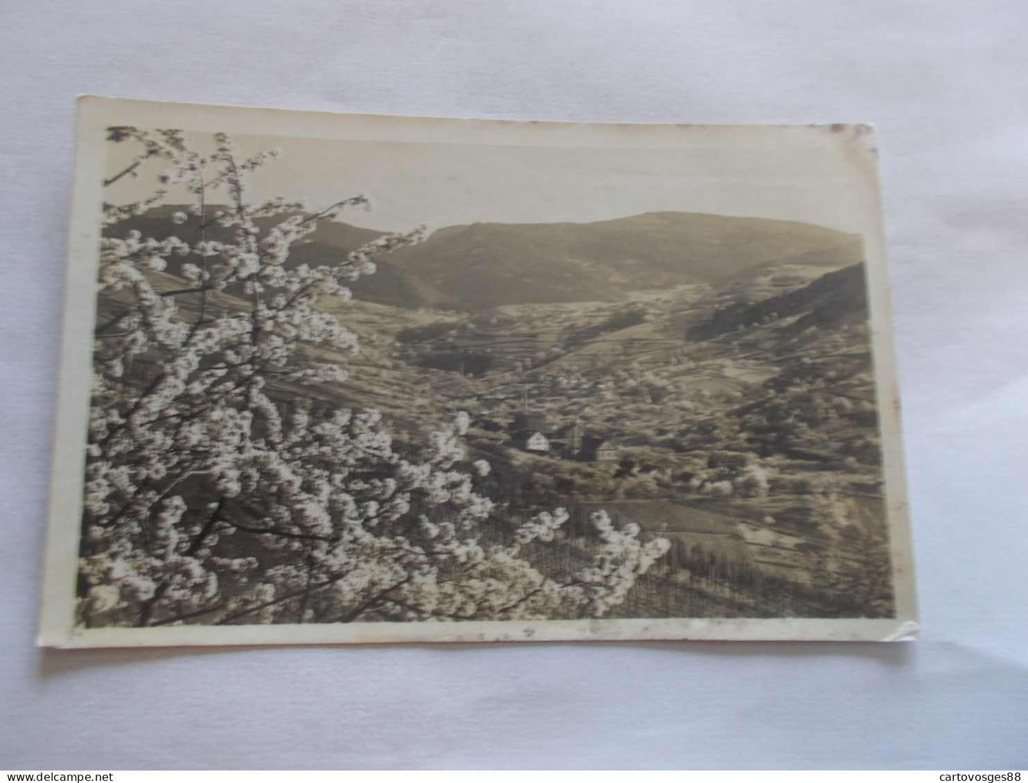 BUHLERTAL BEI BUL BADE WURTEMBERG ( ALLEMAGNE  GERMANY ) AUFNAHME VON ROLF KELLNER KARLSRUHE - Bühl