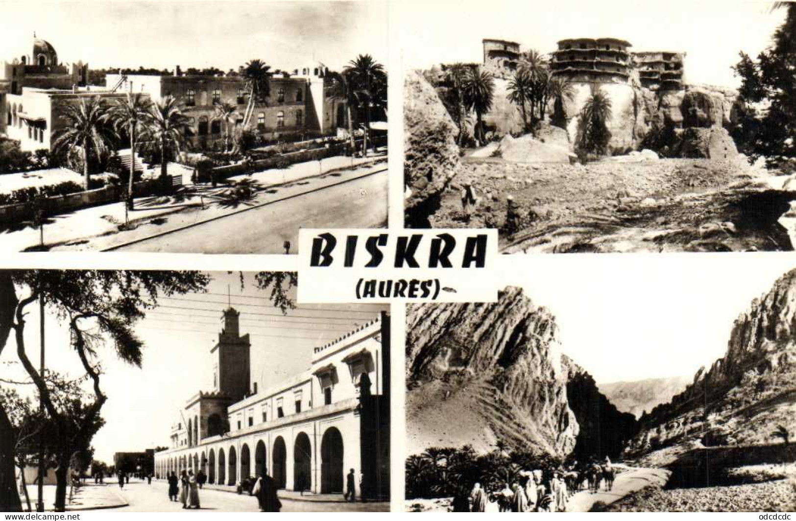 Fantaisie BISKRA (Aurès) 4 Vues     RV - Biskra