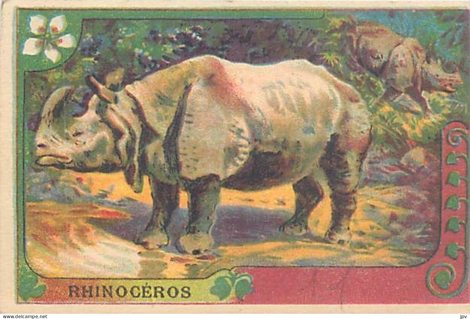 A LA MENAGERE. CAMBRAI. CHROMO CHICOREE. RHINOCEROS. - Thé & Café