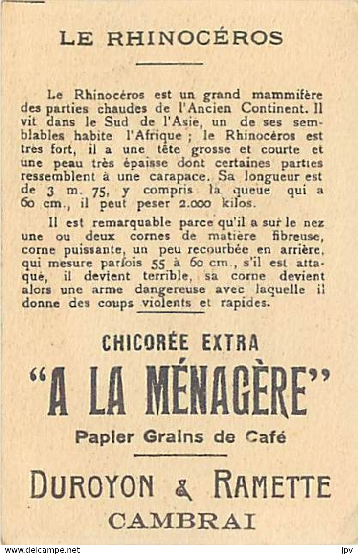 A LA MENAGERE. CAMBRAI. CHROMO CHICOREE. RHINOCEROS. - Tè & Caffè