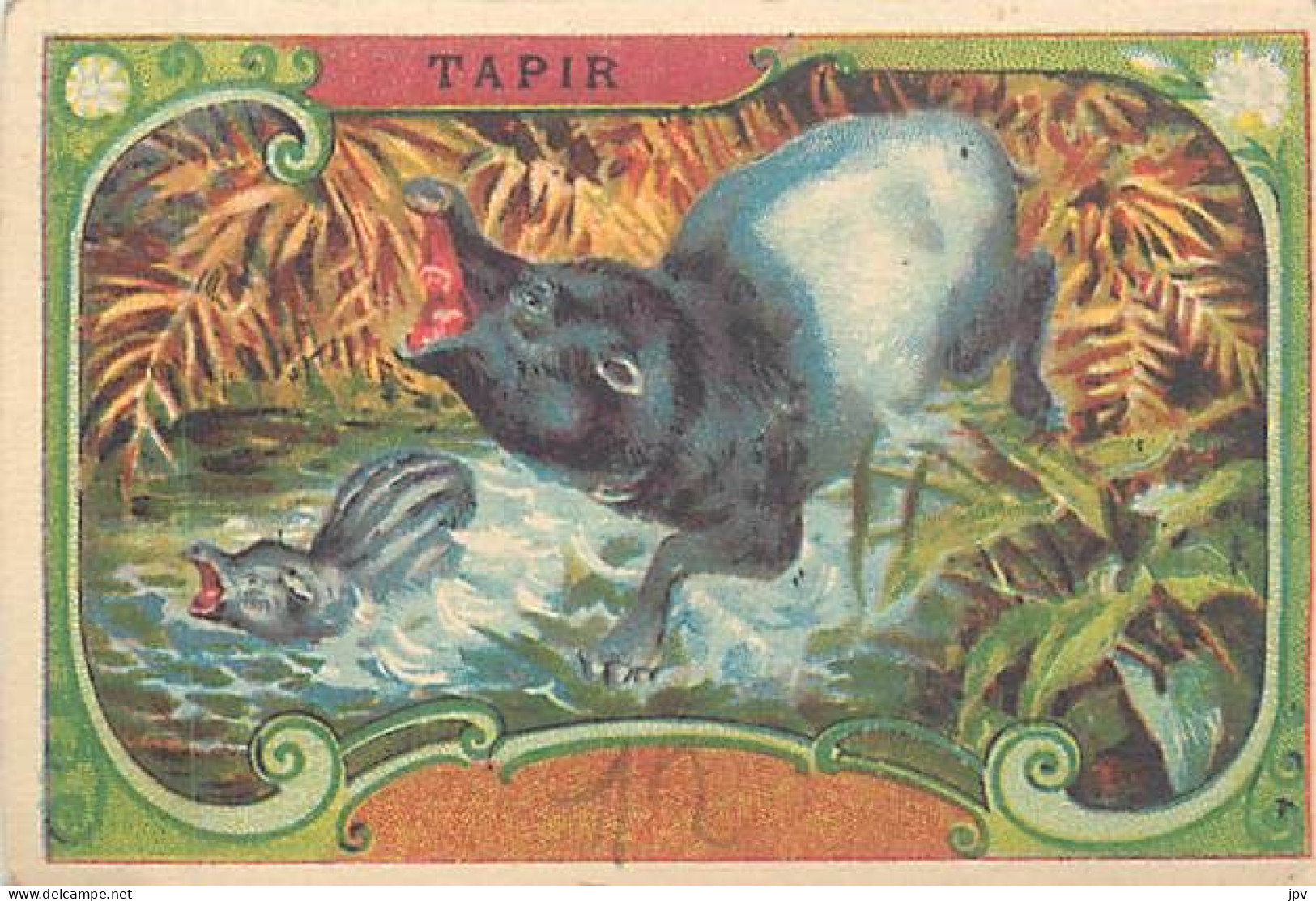 A LA MENAGERE. CAMBRAI. CHROMO CHICOREE. LE TAPIR. - Tea & Coffee Manufacturers