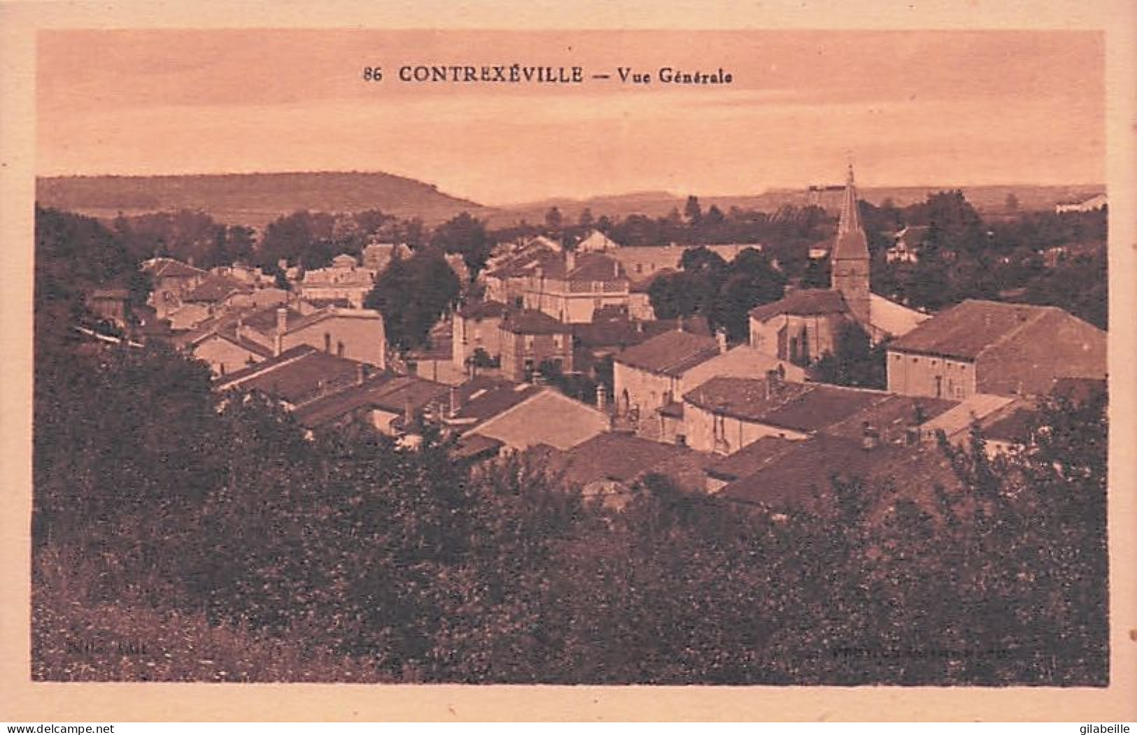88 - CONTREXEVILLE -  Vue Generale - Contrexeville