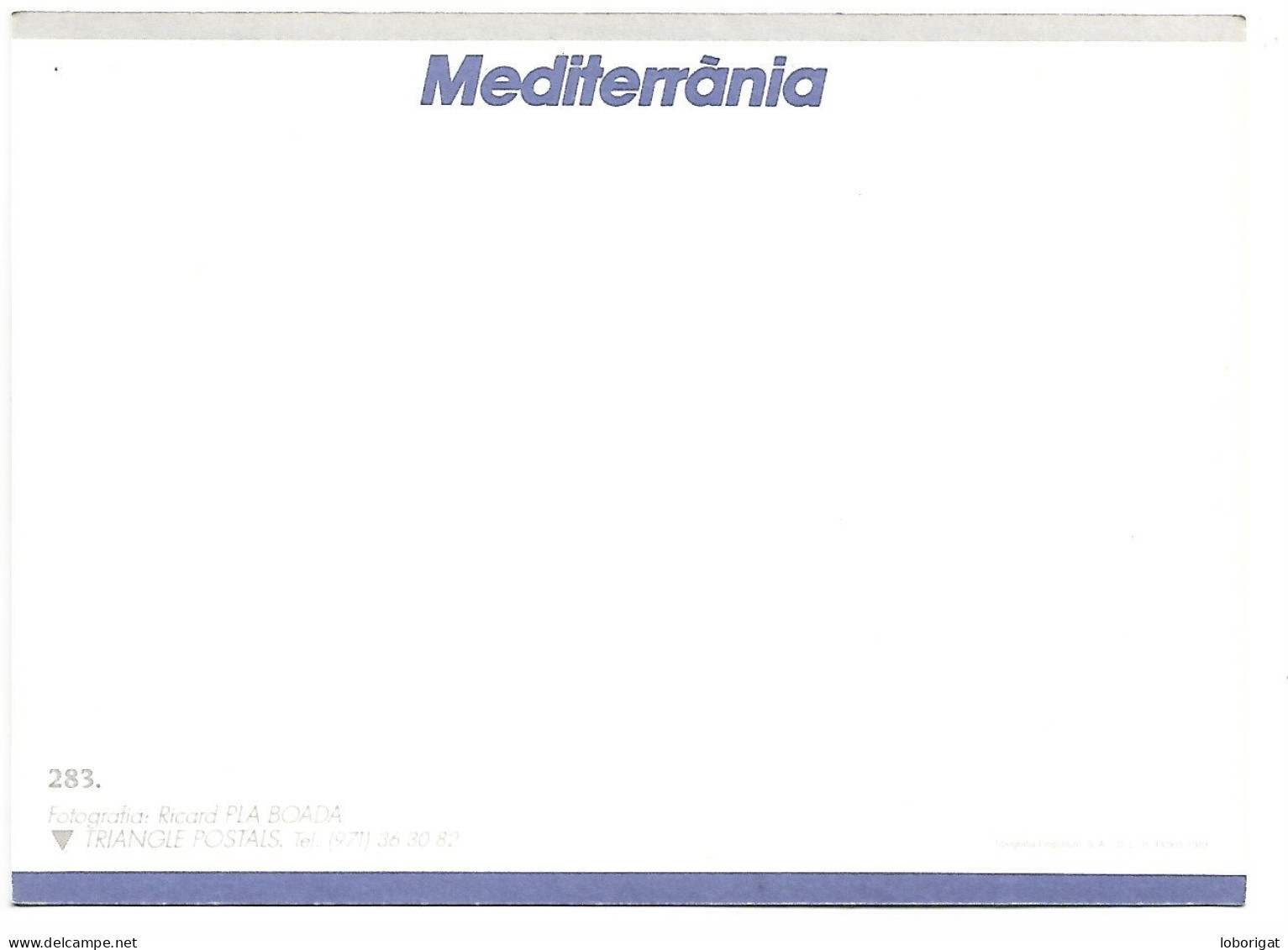 " MEDITERRANEA ".-  ( ESPAÑA ) - Other & Unclassified