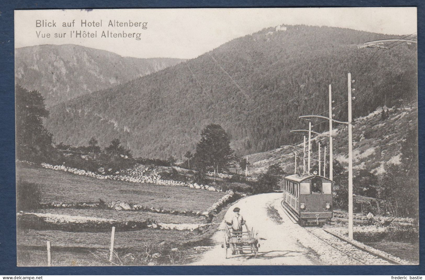 Vue Sur Hôtel Altenberg - Sonstige & Ohne Zuordnung