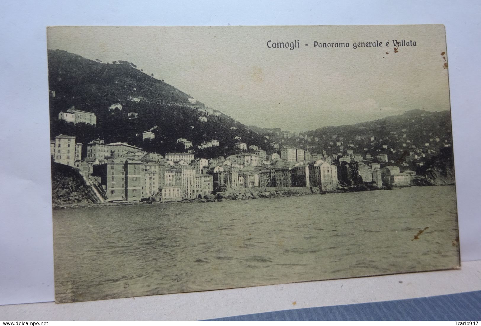 CAMOGLI  -- GENOVA  --  PANORAMA GENERALE  E VALLATA - Genova