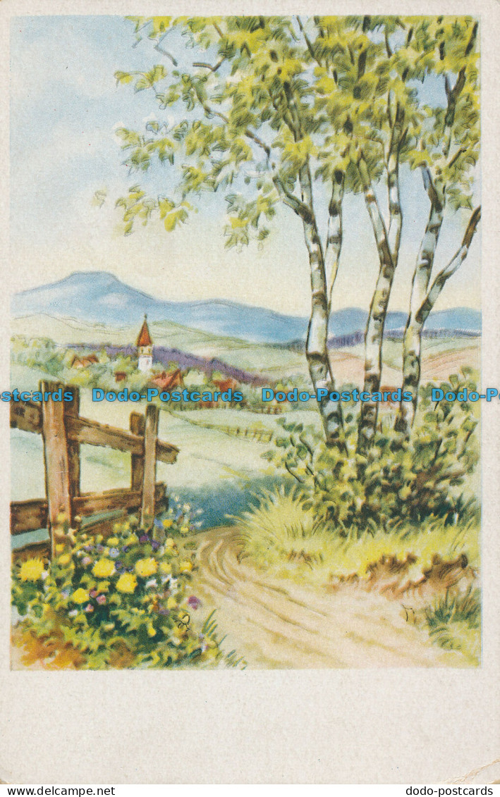 R091691 Old Postcard. Birches And Mountains - World
