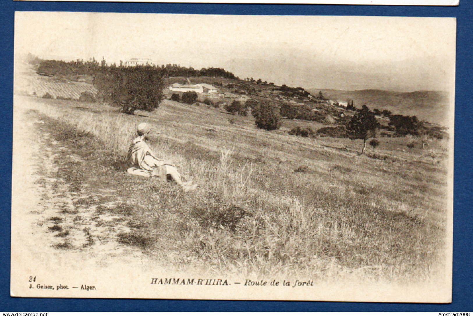 HAMMAM-R'HIRA - ROUTE DE LA FORET - (Hammam-Righa) - ALGERIE - Médéa