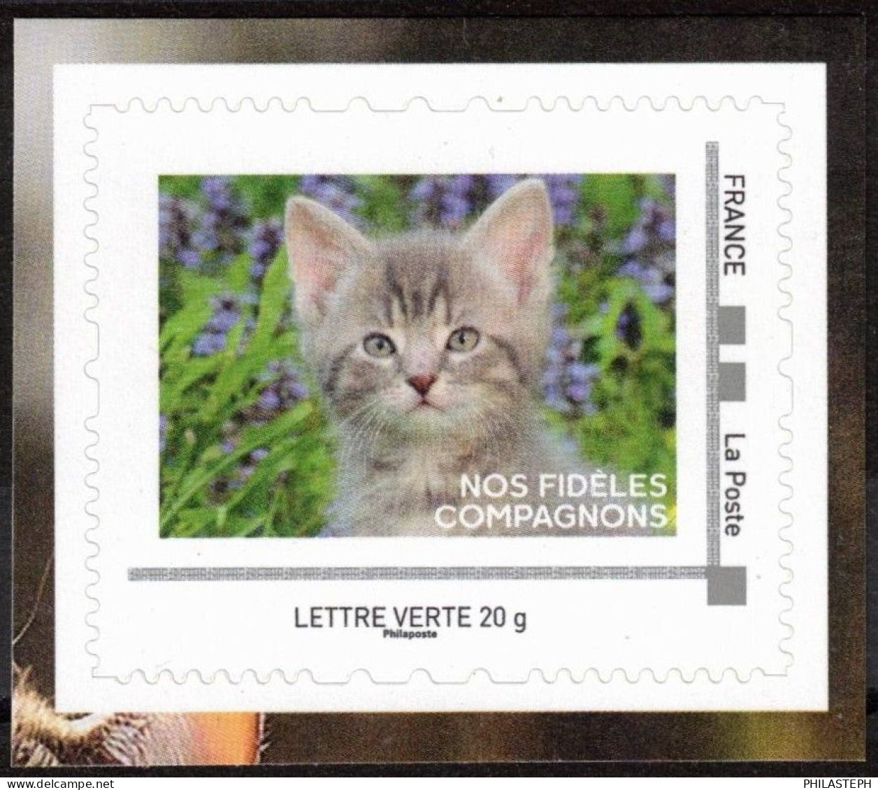 FRANCE 2024 - TAM Chat - Issu Du Collector Nos Fidèles Compagnons - Katten