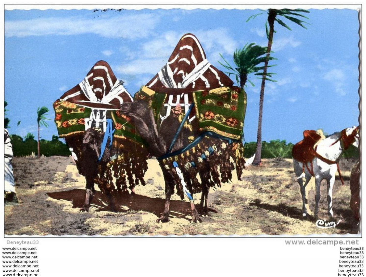 CPA (Réf : I472) Bassours Ou Harem Mobiles Dans Le Sud (AFRIQUE SCÈNES ET TYPES ) (animée) - Scenes
