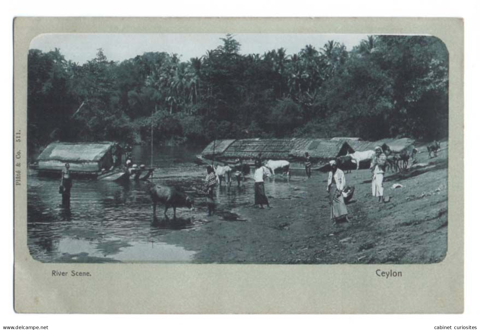 CEYLAN - River Scene - Ceylon - Animée - Maisons Flottantes - Boeufs - Sri Lanka (Ceylon)