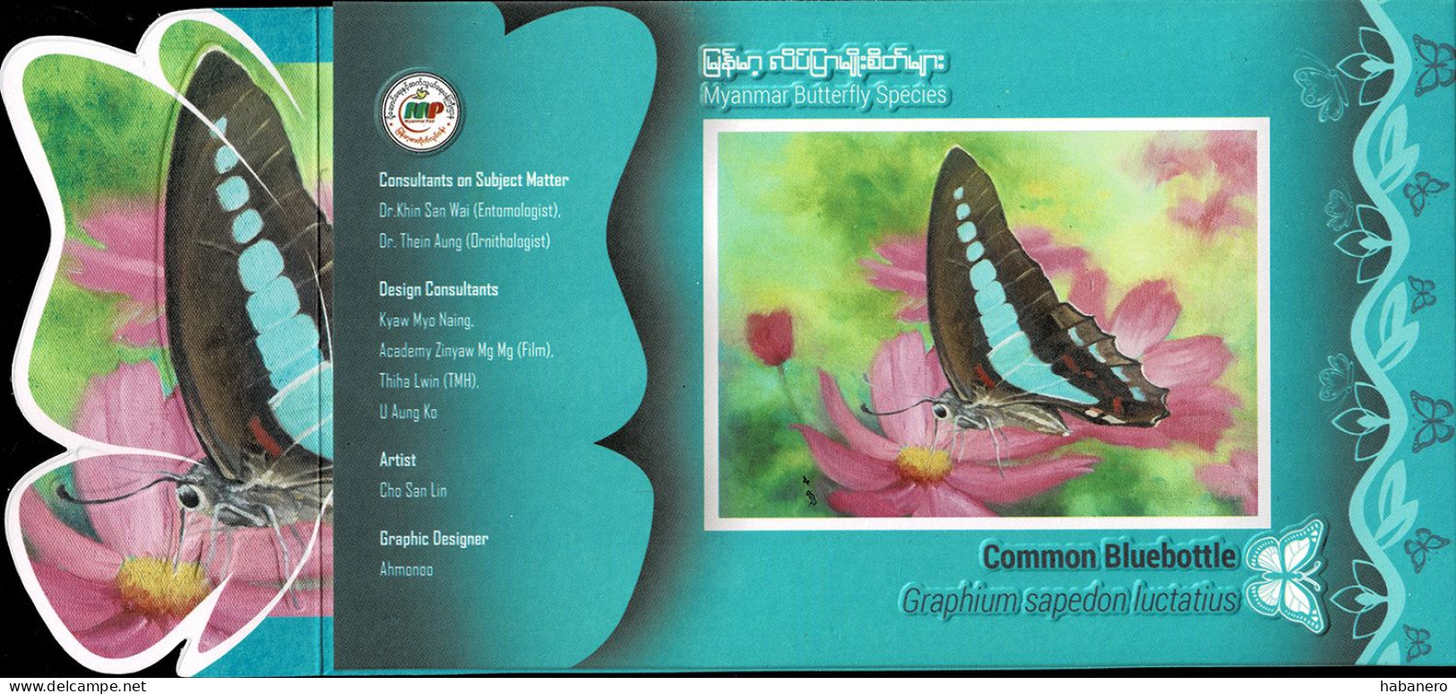 MYANMAR 2024 COMMON BLUEBOTTLE BUTTERFLY PRESENTATION FOLDER - Papillons