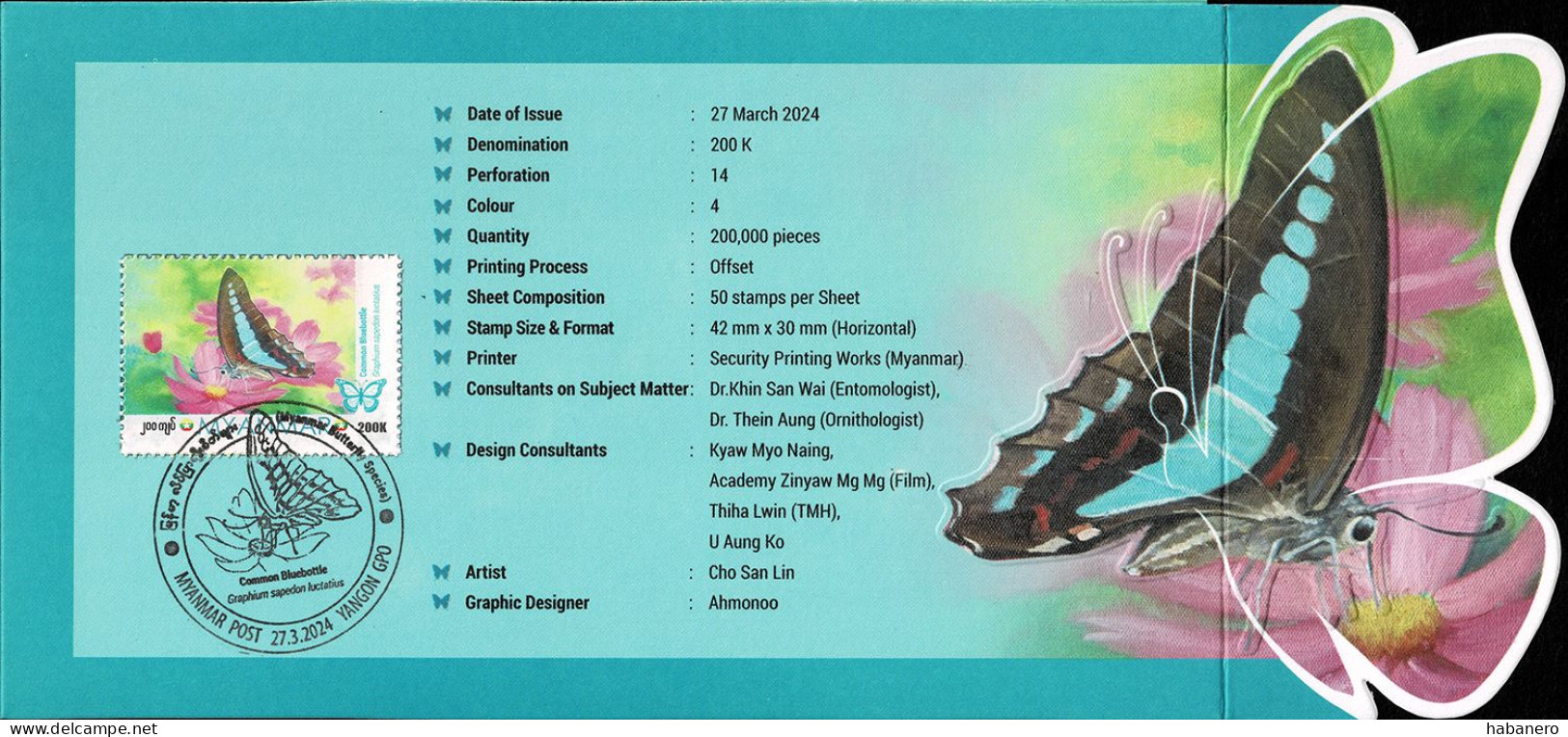 MYANMAR 2024 COMMON BLUEBOTTLE BUTTERFLY PRESENTATION FOLDER - Papillons