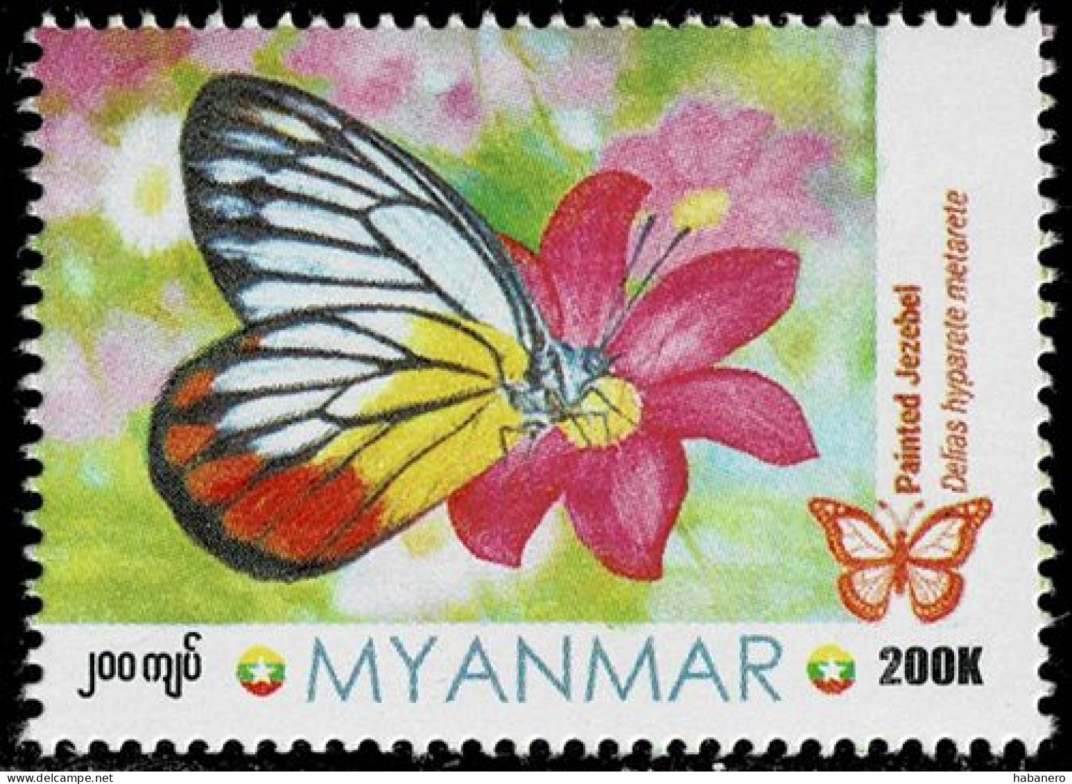 MYANMAR 2024 PAINTED JEZEBEL BUTTERFLY MINT STAMP ** - Farfalle