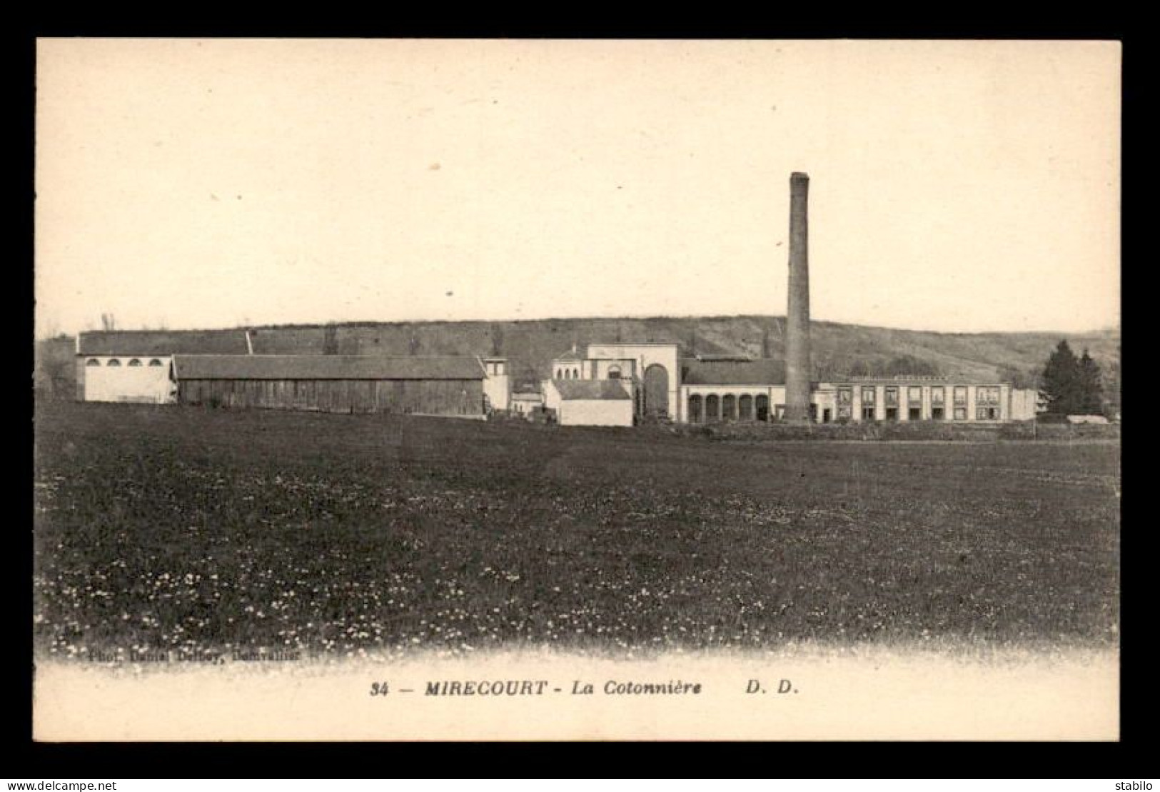 88 - MIRECOURT - LA COTONNIERE - Mirecourt