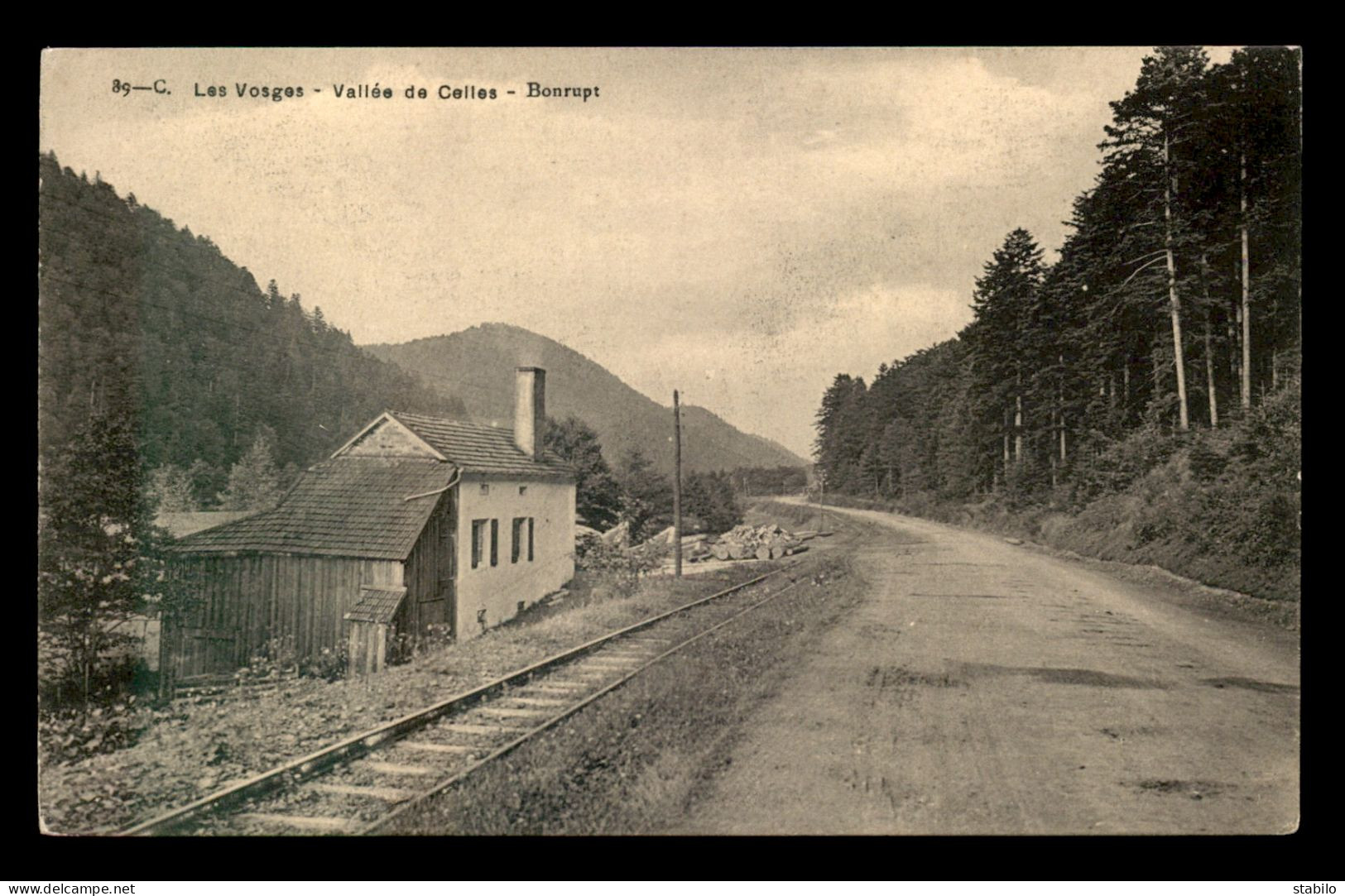 88 - VALLEE DE CELLES - BONRUPT - LES VOIES DE CHEMIN DE FER - Altri & Non Classificati