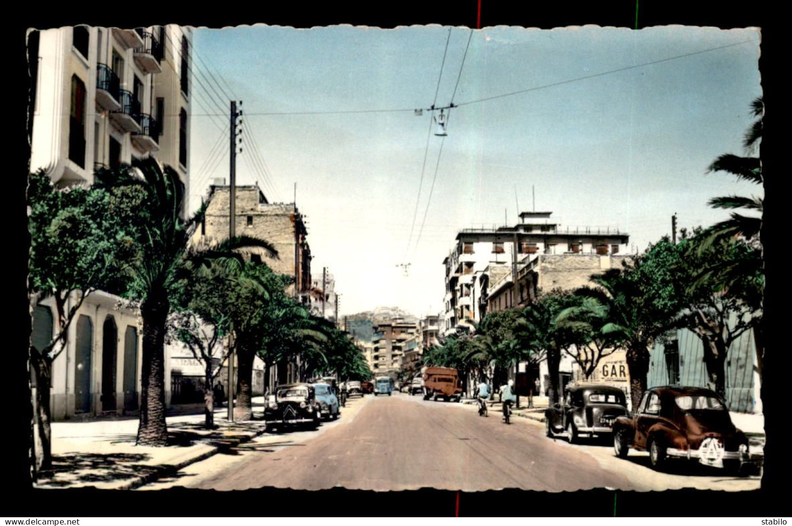 ALGERIE - ORAN - BOULEVARD HIPPOLYTE GIRAUD - AUTOMOBILES - Oran