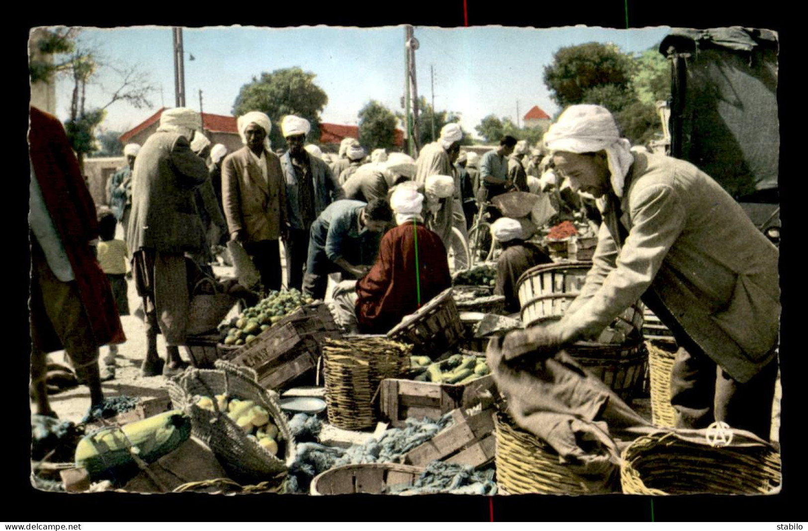 ALGERIE -  TELERGMA - LE MARCHE - Andere & Zonder Classificatie