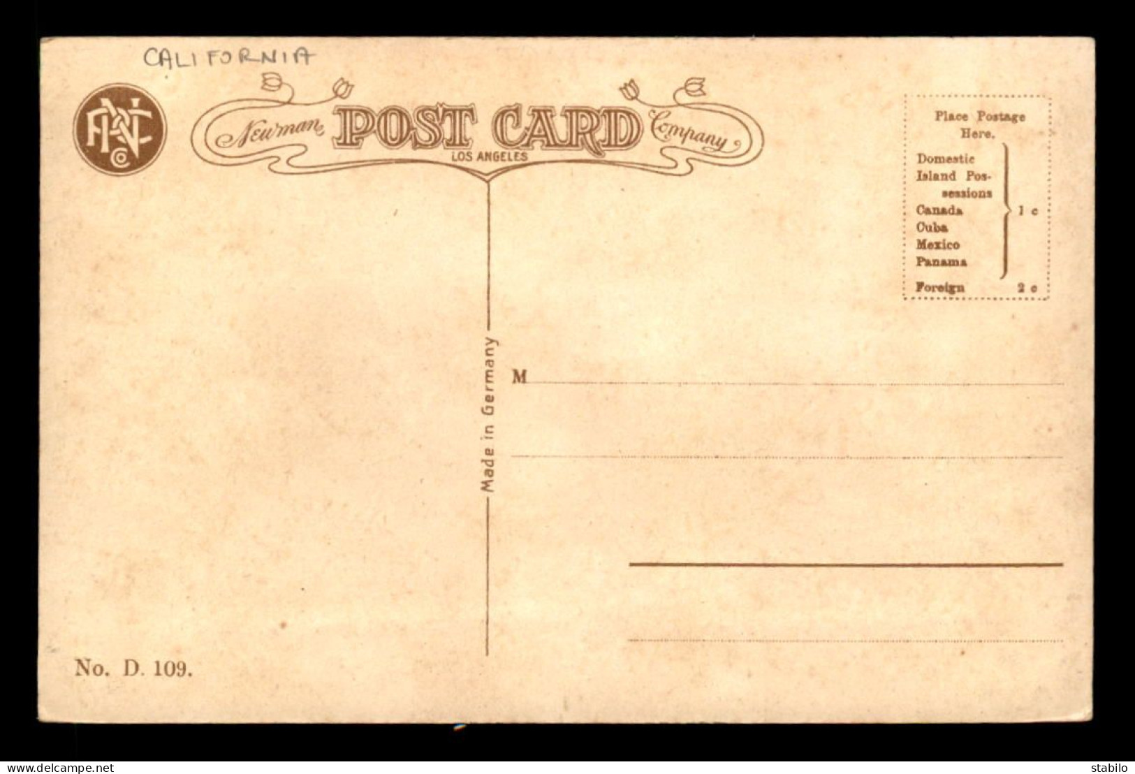 ETATS-UNIS - TURTIE CLUB, CAUGHT BETWEEN SAN PEDRO & CATALINA ISLAND - Other & Unclassified