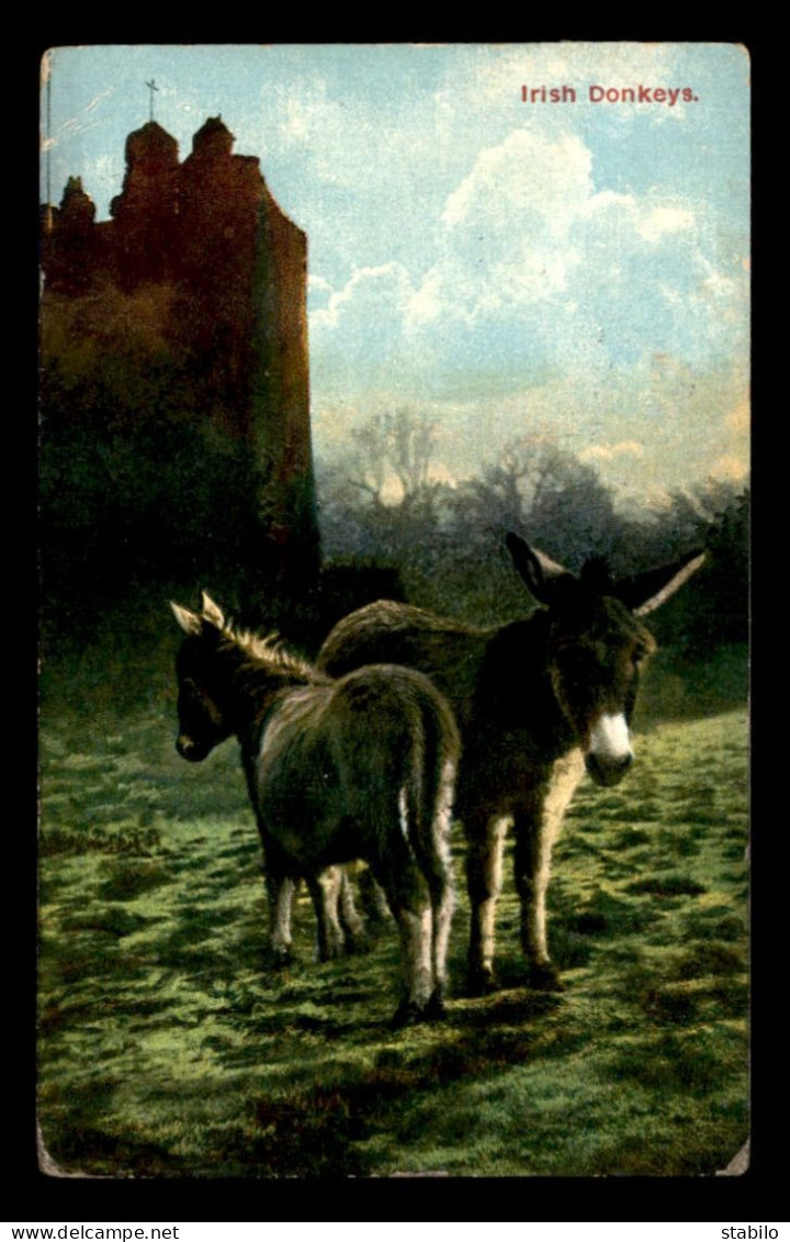 IRLANDE - IRISH DONKEYS  - Autres & Non Classés