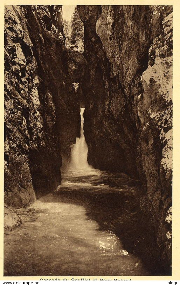 74266 01 03#0 - SERVOZ - GORGES DE LA DIOSAZ - CASCADE DU SOUFFLET ET PONT NATUREL - Les Houches