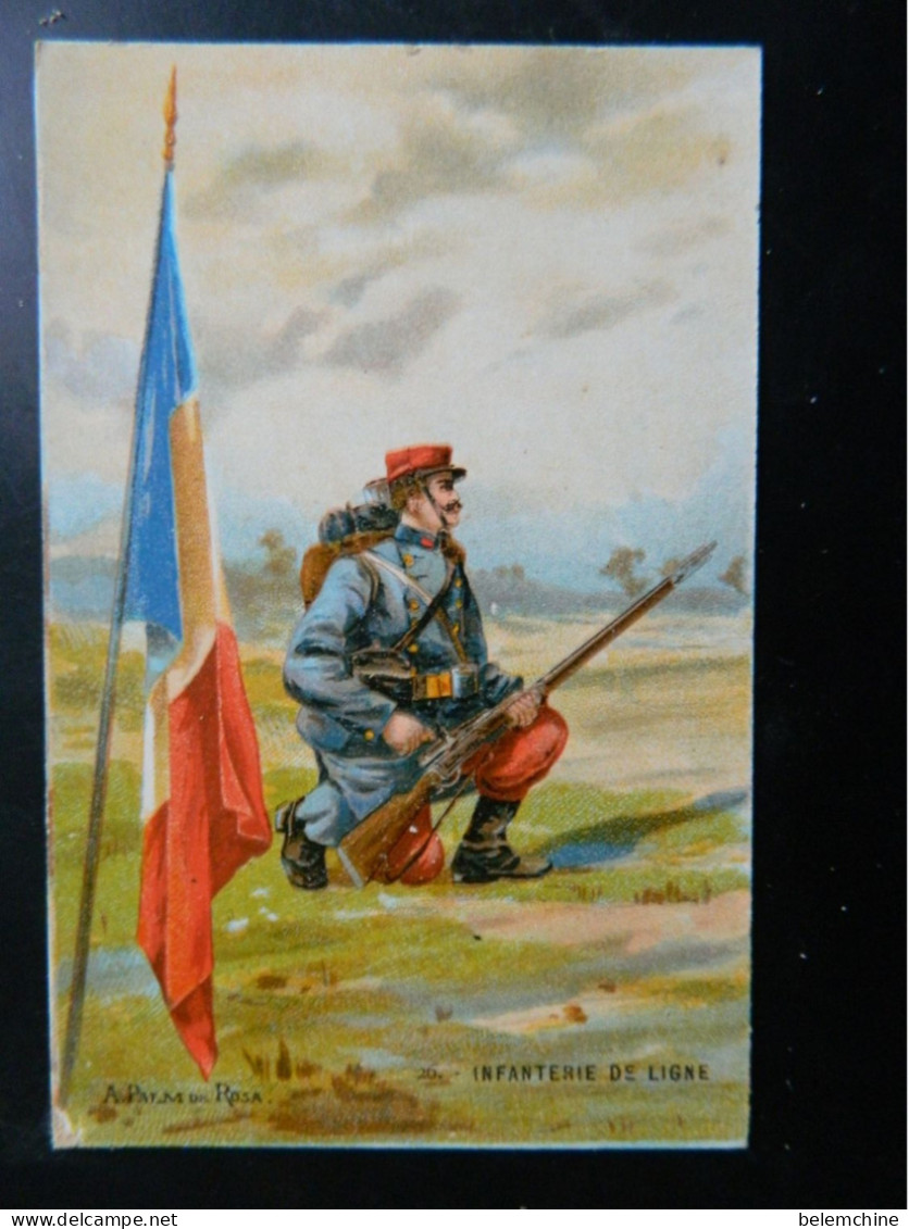 A. PALM DE ROSA                                          INFANTERIE DE LIGNE - Regimenten
