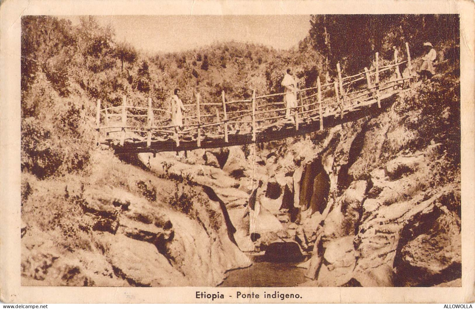 26947 " ETIOPIA-PONTE INDIGENO "ANIMATA-VERA FOTO-CART.POST. NON  SPED. - Ethiopië