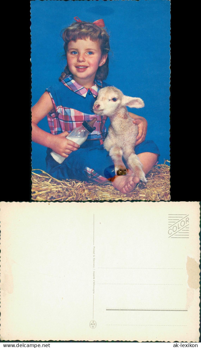 Menschen Soziales Leben & Kinder: Kind Mädchen Füttert Lamm Lämmchen 1970 - Retratos