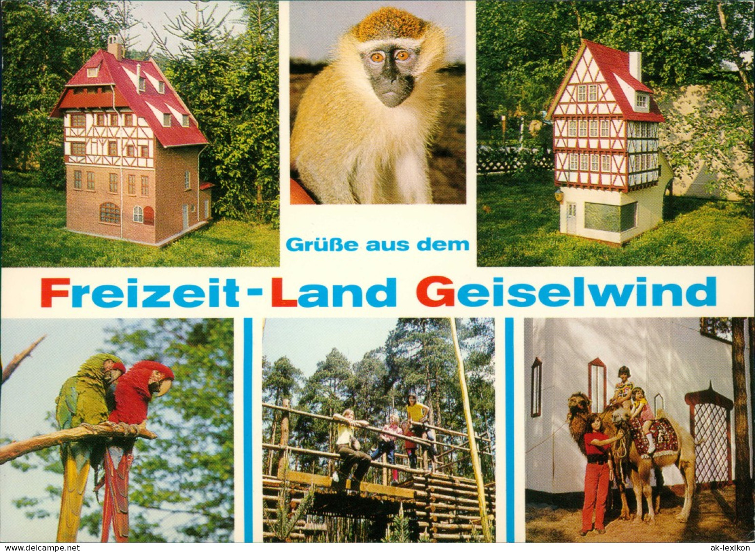 Geiselwind Freizeit-Land Geiselwind (Affe, Häuser, Kamel, Papagei) 1982 - Sonstige & Ohne Zuordnung