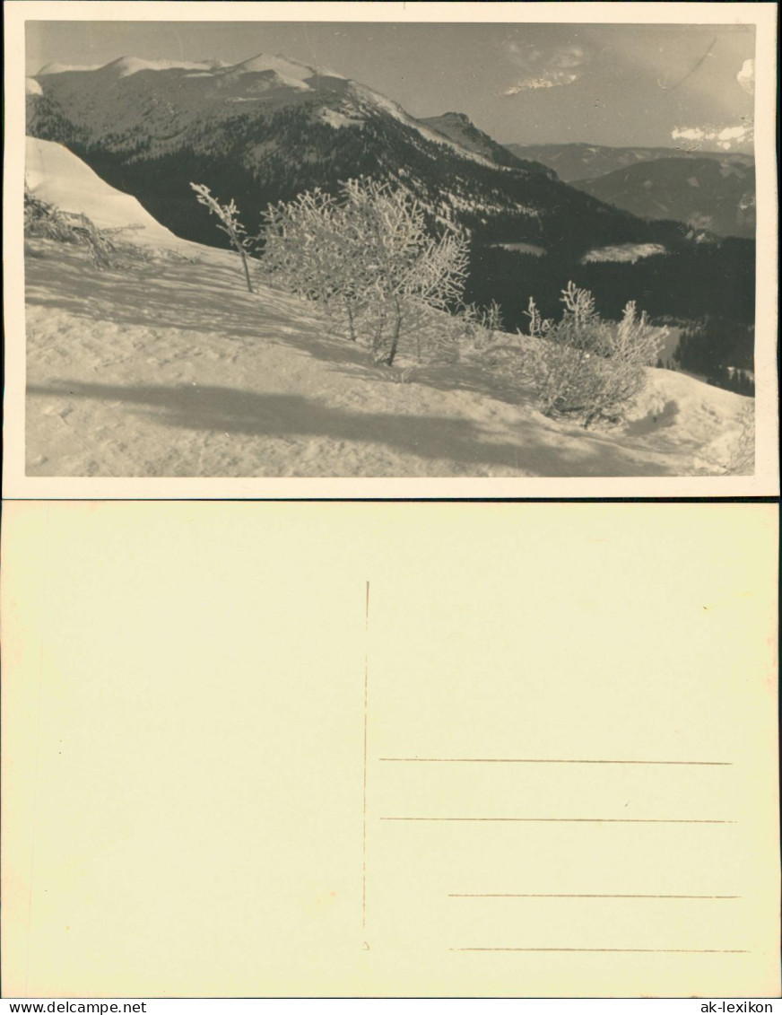 Foto  Winter Im Hochgebirge Stimmungsbild 1934 Privatfoto - Non Classés