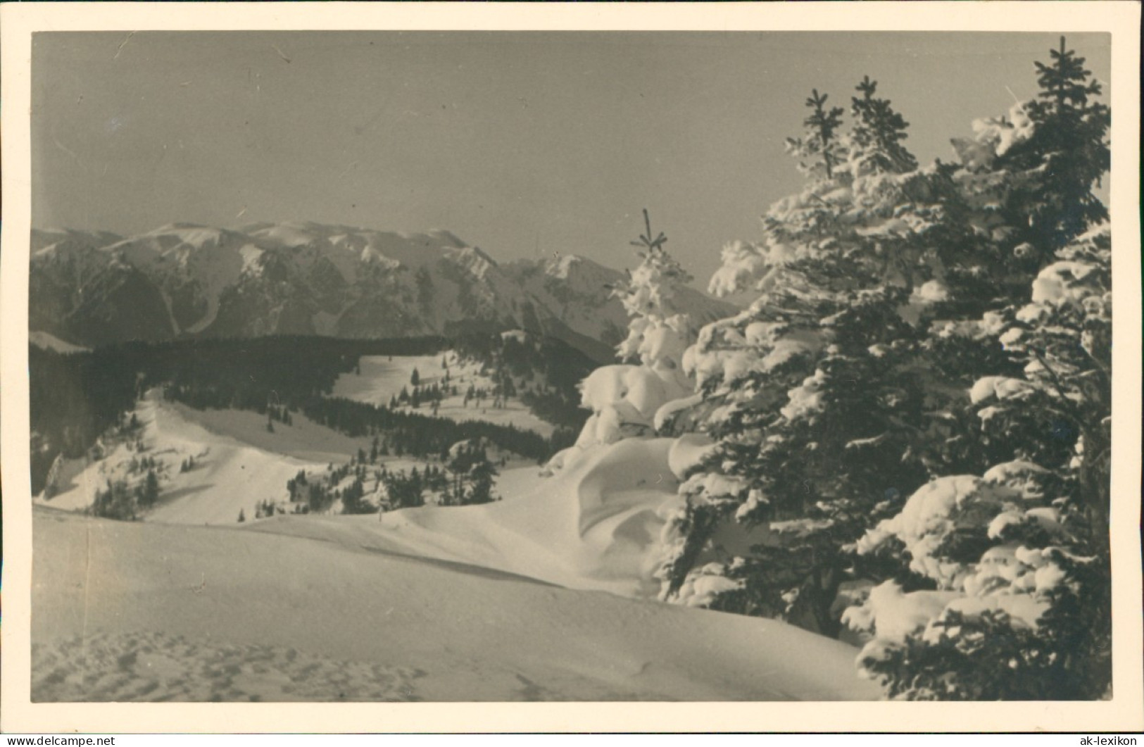 Winter Im Hochgebirge - Tannen - Schnee Stimmungsbild 1932 Privatfoto - Non Classés