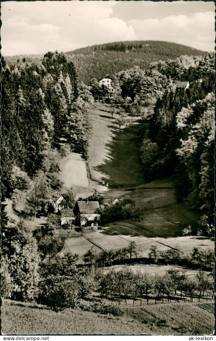 Ansichtskarte Detmold Blick Auf Hangstein Und Stemmberg 1966 - Detmold