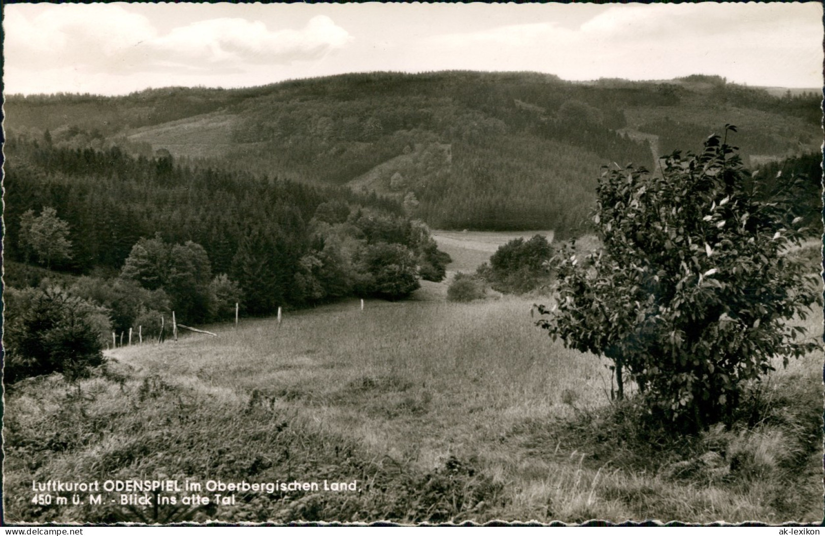 Ansichtskarte Odenspiel Umland-Ansicht ODENSPIEL Im Oberbergischen Land 1964 - Andere & Zonder Classificatie